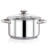 SS Delight 3ply base stock pot with 1 glass lid 